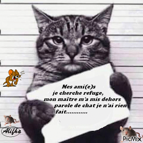 alelagibergueshotmail.fr avatar